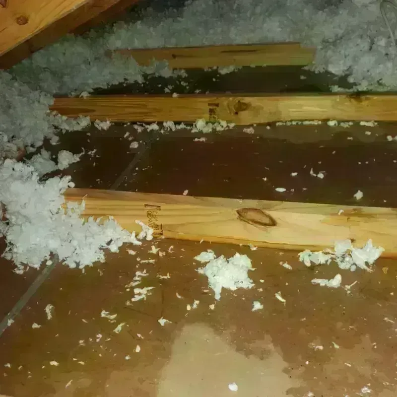 Attic Water Damage in Alvarado, TX