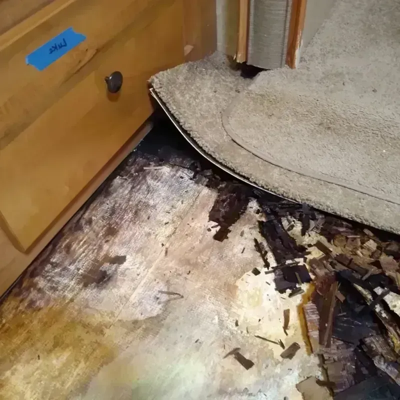 Wood Floor Water Damage in Alvarado, TX